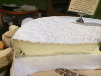 French safari - cheese